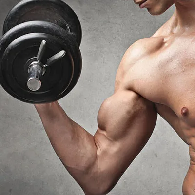 Arm Workouts For Men And Women